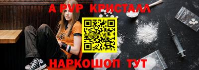 крисы Пенза