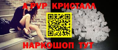 крисы Пенза