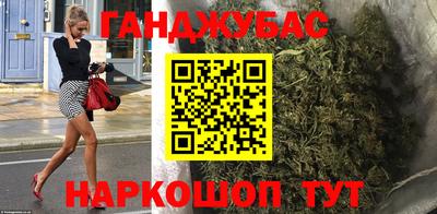 крисы Пенза