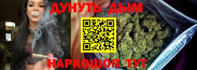 крисы Пенза