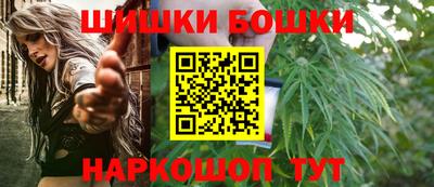 крисы Пенза