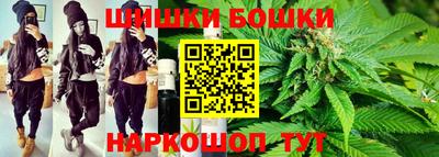 крисы Пенза